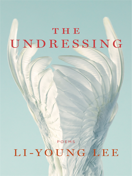 Cover image for The Undressing